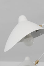 Articulated Multi Arm Spider Ceiling Light