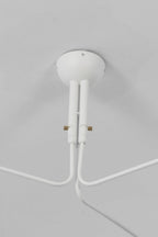 Articulated Multi Arm Spider Ceiling Light