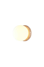 Asteroid Wall Light