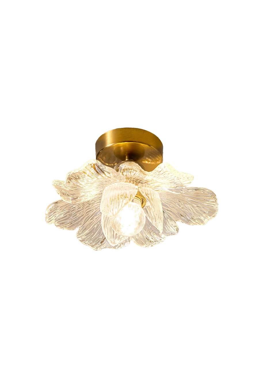 Ceiling Lights