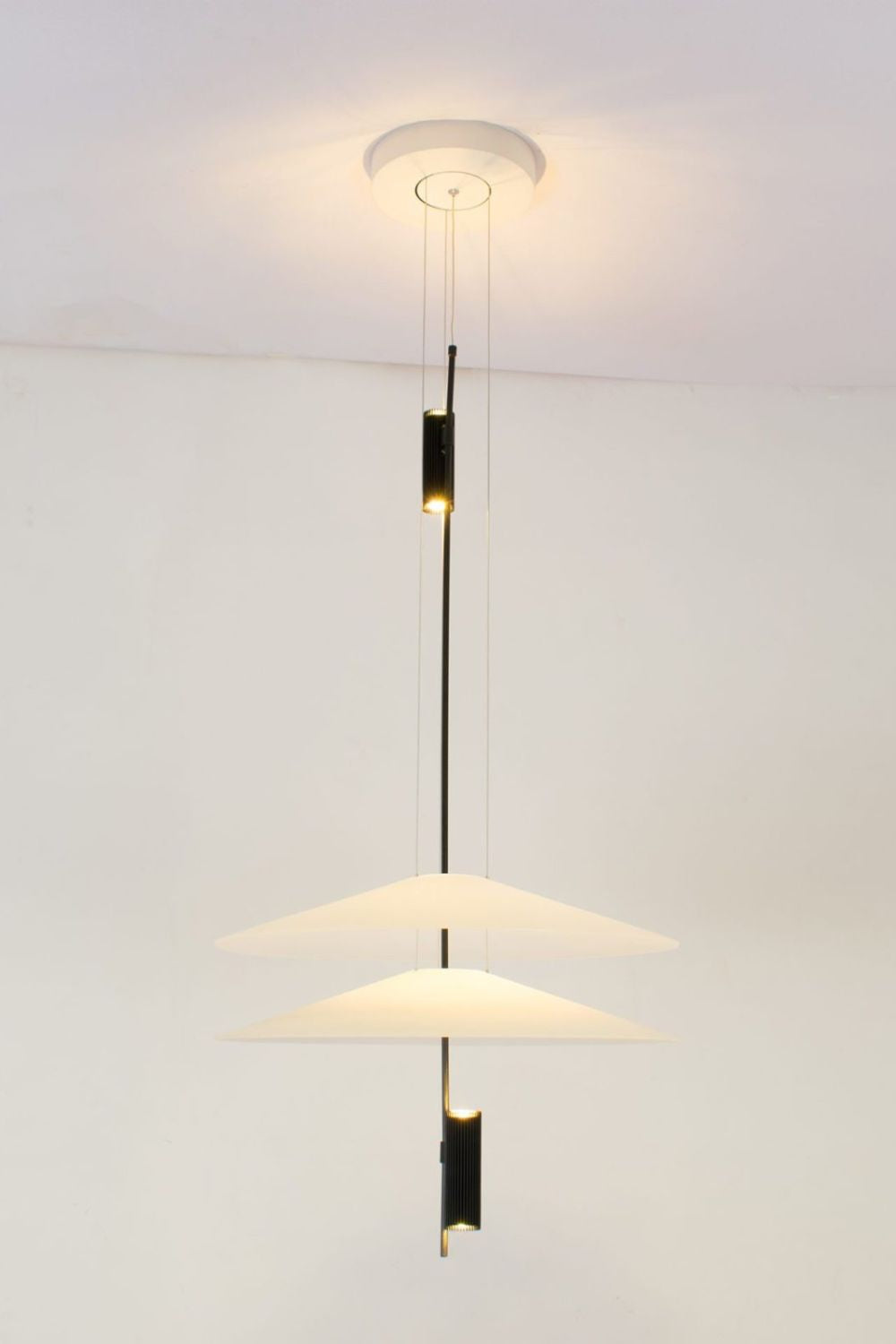 Flamingo Chandelier