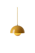 Semi-Circle Pendant Lamp