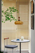 Mayon Plug In Pendant Lamp