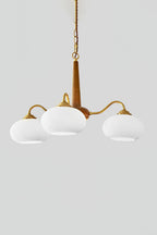 Walnt glass Chandelier