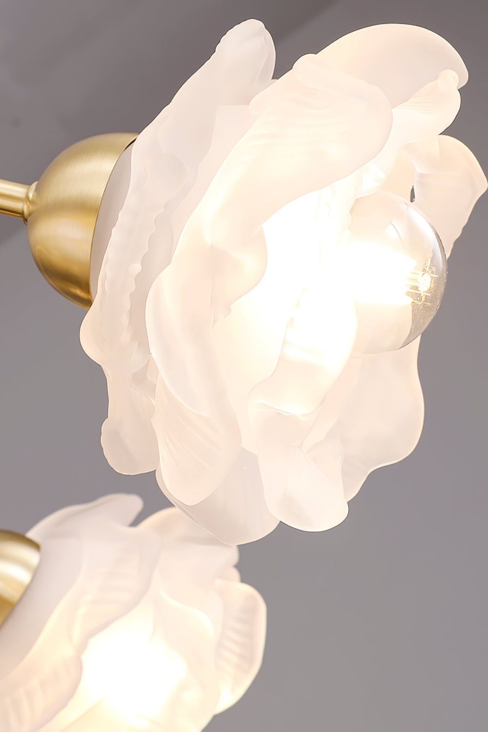Roses Chandelier