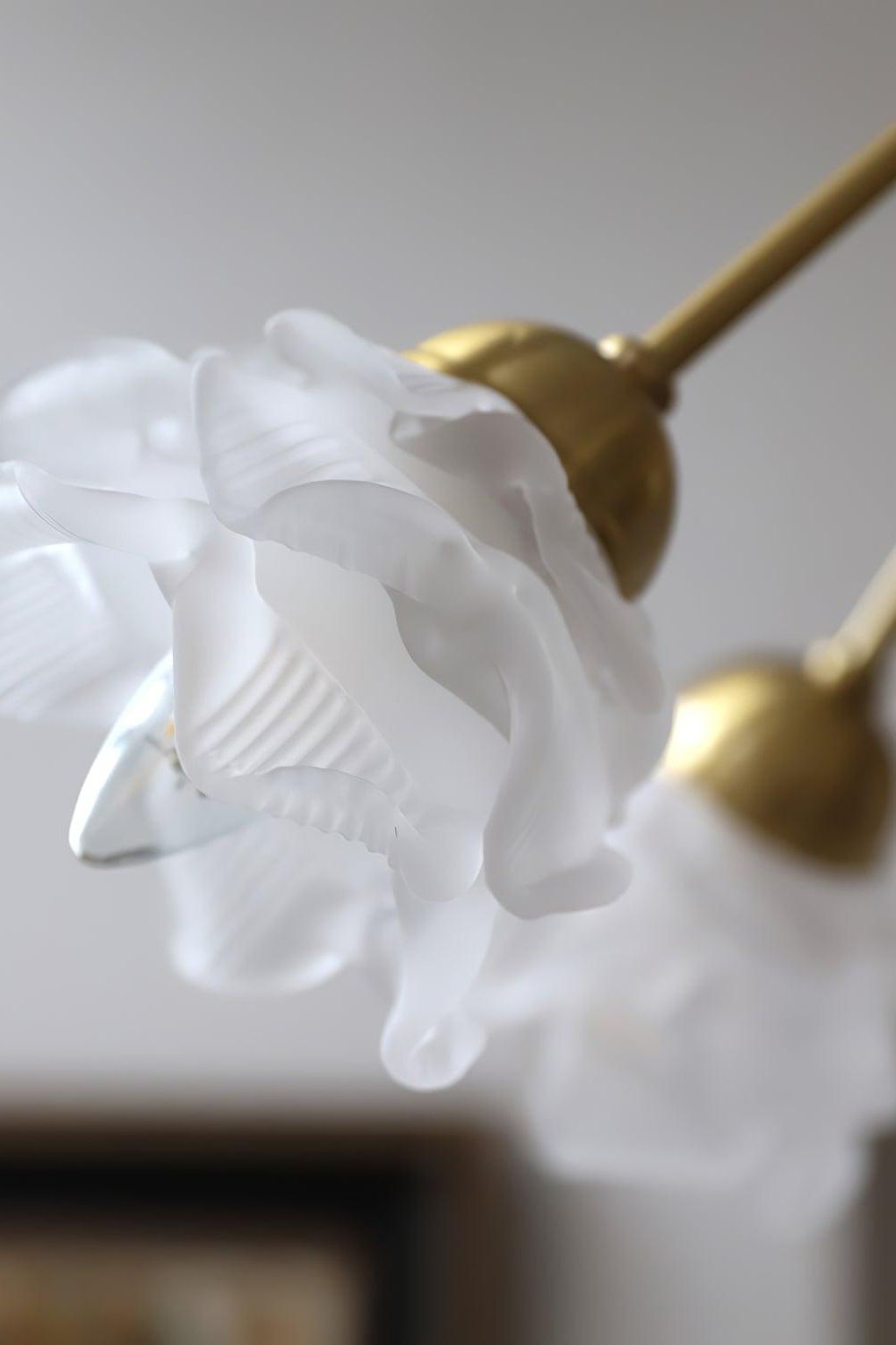 Roses Chandelier
