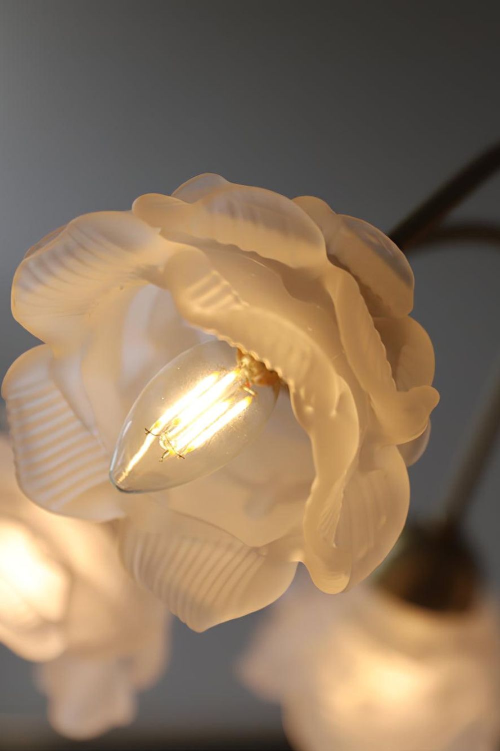 Roses Chandelier