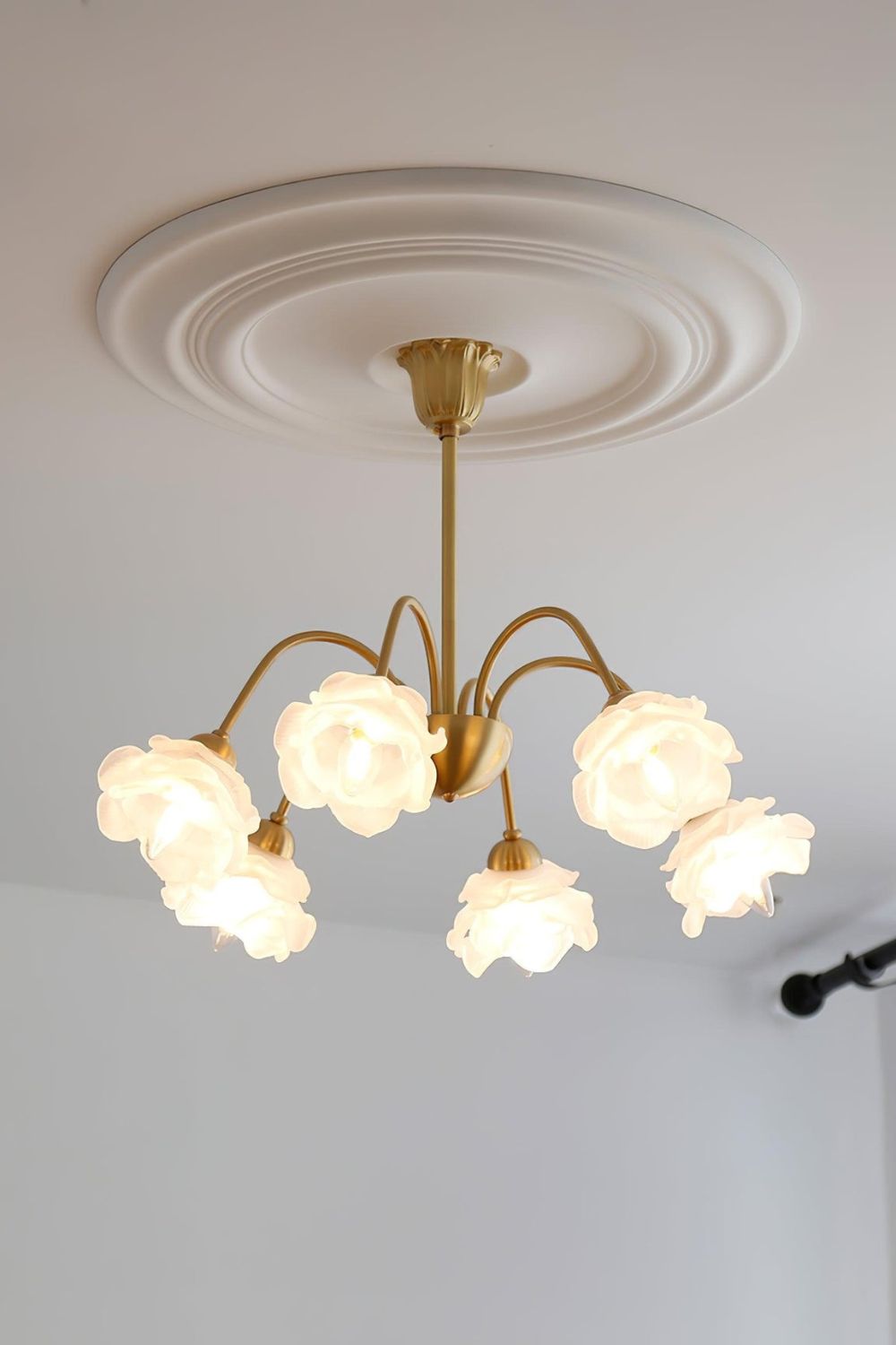 Roses Chandelier