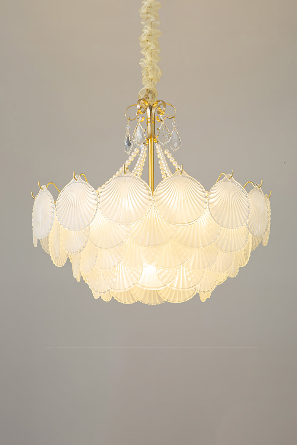 Shell Pendant Light