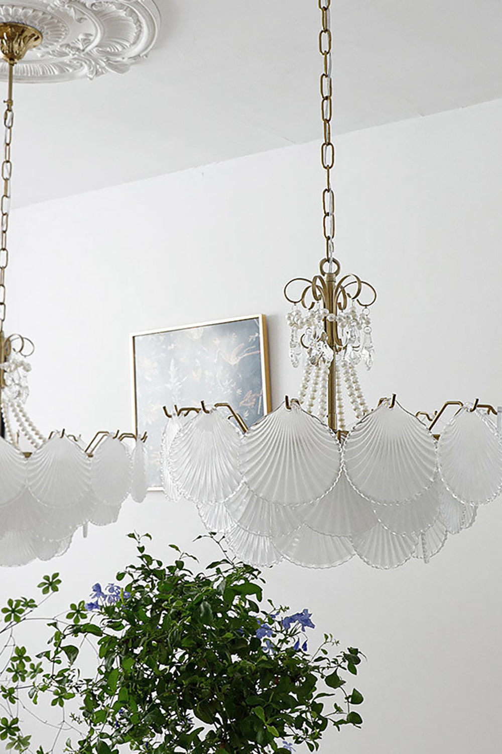 Shell Pendant Light