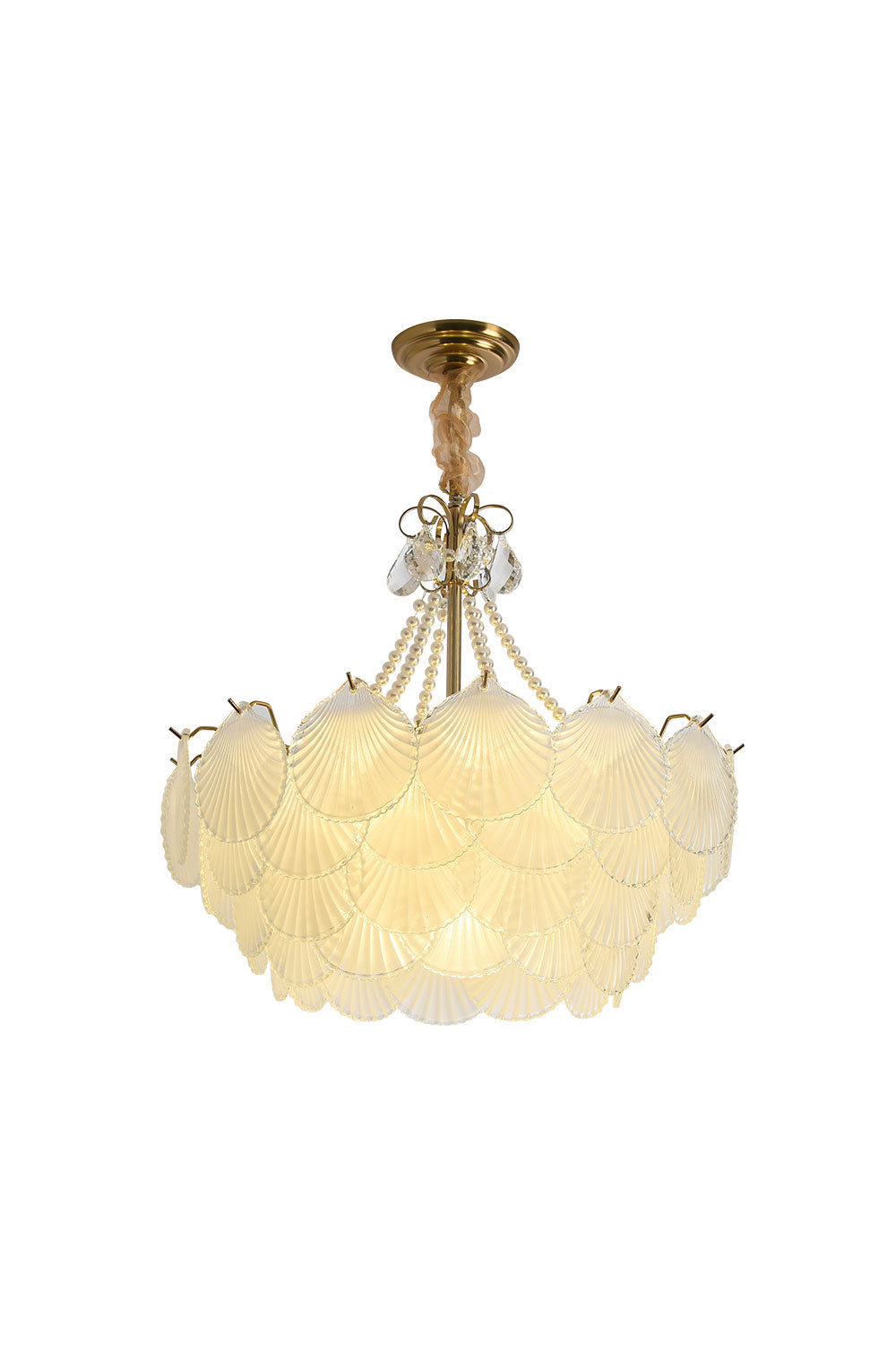 Shell Pendant Light