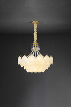 Shell Pendant Light