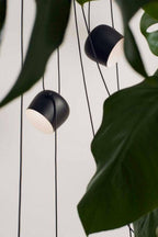 Adjustable Directional Pendant Lamp