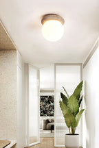 Asteroid Ceiling Lamp
