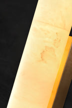 Callisto Wall Lamp