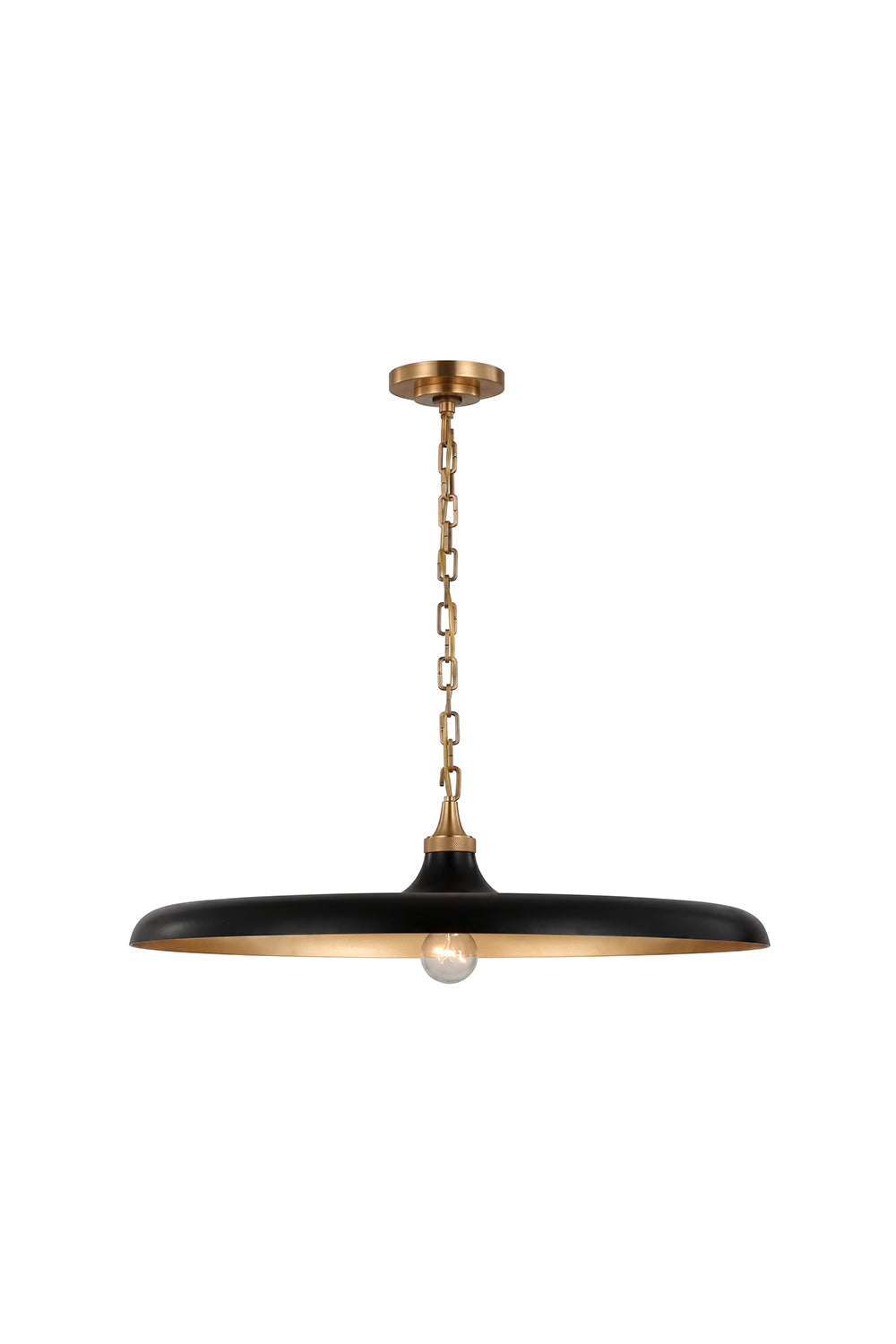Eclipse Disc Architectural Pendant Light