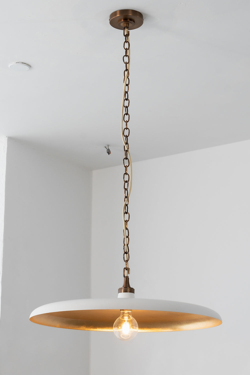 Eclipse Disc Architectural Pendant Light