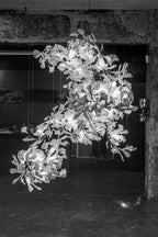 Cermaic Leaf Gingko Chandelier F