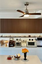 Linea Natural Three-blade Ceiling Fan Light