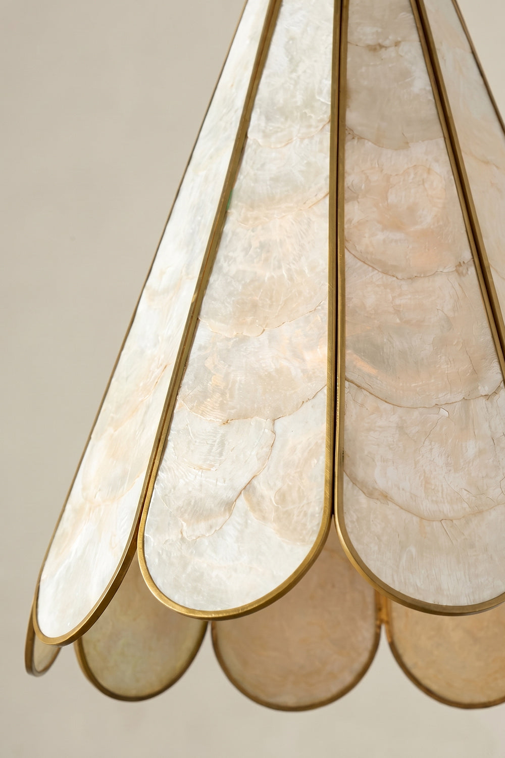 Magnolia Shell Pendant Light