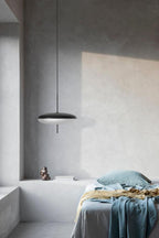 Model 2065 Pendant Lamp