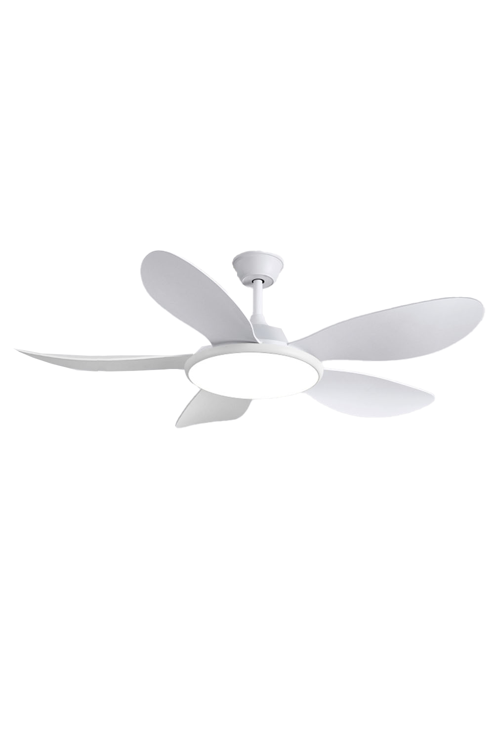 Modern Wooden Ceiling Fan Light