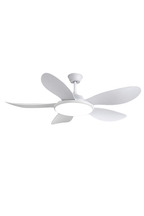 Modern Wooden Ceiling Fan Light