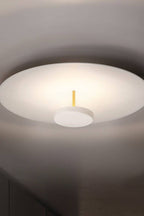 OLEV Overfly Plus Ceiling Light