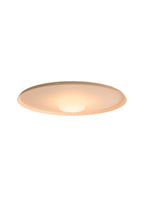 OLEV Overfly Plus Ceiling Light
