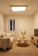 Organic Travertine Rectangular Ceiling Light