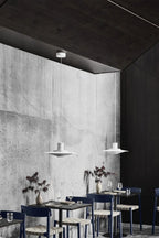 P376 Pendant Light