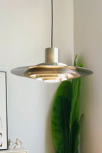 P376 Pendant Light