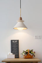 SPACE Scandinavian Pendant Lamp
